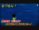 なつもん！　魚の種類　うら浜（夜）　ネジラカレイ・クチボソカレイ　＃８４９　【なつもん！20世紀の夏休み】