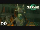 【ゼルダの伝説 Tears of the Kingdom】ラウルのねーちゃん【実況】#42