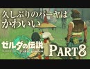 久しぶりのパーヤはかわいい【ゼルダの伝説 ティアーズオブザキングダム】Part8