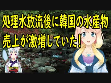 【韓国の反応】福島処理水放流後に韓国で水産物の売上が48％増加していた事が判明【世界の〇〇にゅーす】