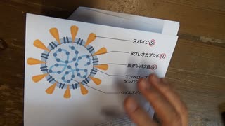 自然感染獲得免疫の方がワクチンより10倍強いという論文