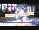 相手のあまりの強さにただ叫ぶしか出来なかった・・・　『NINJA　GAIDEN　Σ』#12