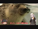 色々足りないうｐ主のゆっくり旅行記　関西編  第５話