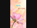 「男が歌う」愛の花/あいみょん/歌ってみた。らんまん主題歌
