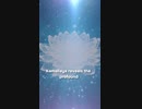 About Kamallaya 4