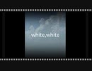 white,white / 咲汰 feat. 小春六花