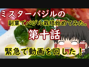 第十話　ミスターバジルの副業でバジル栽培始めてみた！