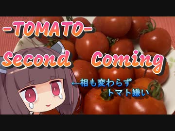 【お料理】東北きりたんとリコピンたっぷりお手製ケチャップともえもえ♥オムライス