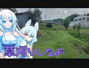 2023年9月5日　農作業日誌P743　耕運機がないから、法面の草刈りを頑張るしかない！