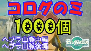 コログのミ1000個 集めよう！ part04　ヘブラ山脈中編・ヘブラ山脈後編 【ゼルダの伝説 ティアキン】