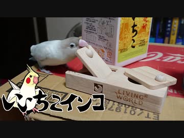 木製のフォージンググッズ・その1