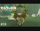 リンク君それ多分使い方間違ってますよ　ゼルダの伝説 ティアーズオブザキングダム　実況　#39