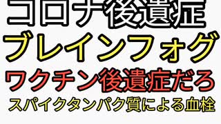 コロナ後遺症のブレインフォグってワクチン後遺症だろ。スパイクタンパク質によって血栓できることが原因。なぜかワクチンが原因が議論されないおかしさ。