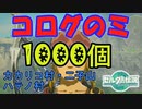 コログのミ1000個 集めよう！ part05　カカリコ村・二子山・ハテノ村周辺 【ゼルダの伝説 ティアキン】