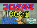 コログのミ1000個 集めよう！ part08　フィローネ地方・ゲルド地方・コログの森周辺【ゼルダの伝説 ティアキン】
