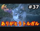 【初見実況】クライヴさんを幸せにしたい男のFF16【#37】