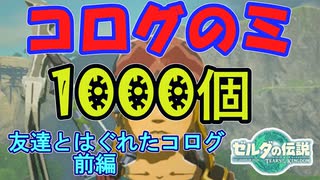 コログのミ1000個 集めよう！ part12 友達とはぐれたコログ 前編【ゼルダの伝説 ティアキン】