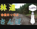【COEIROINK車載】林道さんぽ＆キャンプ＠いなぶダート林道1/3【セロー】