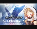 よう　相棒　また一緒に空を飛ぼう【エスコンマルチ】