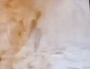 オバケ（オンナ）がB'z歌ってみた