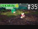 PIKMIN4-ピクミン- 実況プレイ #35