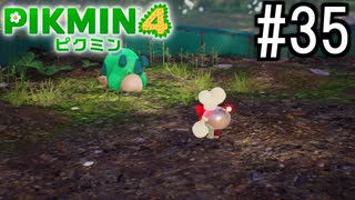 PIKMIN4-ピクミン- 実況プレイ #35