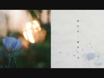 宵の月 / 初音ミク