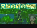 なんて美しい光景なんだ！HAHA！【ゼルダの伝説 ティアーズ オブ ザ キングダム】#108