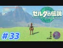 【実況】果てなき冒険は、大空へ広がる【ゼルダの伝説 ティアーズオブザキングダム】＃33