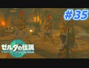 【実況】果てなき冒険は、大空へ広がる【ゼルダの伝説 ティアーズオブザキングダム】＃35