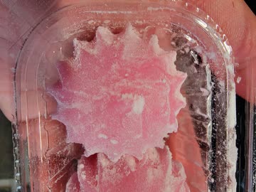 縁起の良いお菓子！？「すあま」