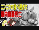 【ゆっくり解説】ニンニクの食べ過ぎで腸内環境悪化！？？