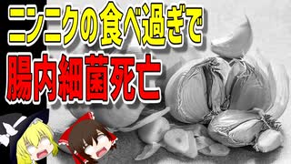 【ゆっくり解説】ニンニクの食べ過ぎで腸内環境悪化！？？