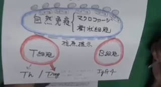 鹿先生2023.9.4『厚労省は日本人が滅びても良いと思っている。自分達だけ助かれば‥』ｍRNAワクチンの重症化予防効果は免疫抑制！感染爆発の原因だ！