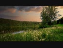 花散る道 The Flower Scattering Path 【フリーBGM】