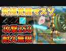 究極無限覚醒マスターソードがやばい(1.1.2以下)【ティアキン TotK】裏技 バグ 検証 ゆっくり実況 glitch