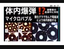 23・9・7　赤血球変形により　毛細血管に酸素供給できず。