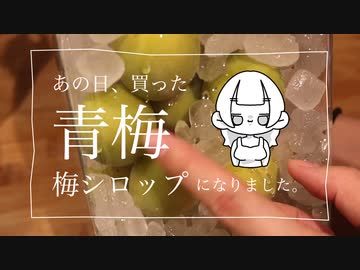 あの日漬けた梅シロップ