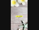 【フリーBGM】Ripple ／ mame pota【 作業用・勉強用BGM／映像・動画／配信 】#フリーBGM #Shorts