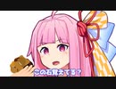 この石覚えてる？