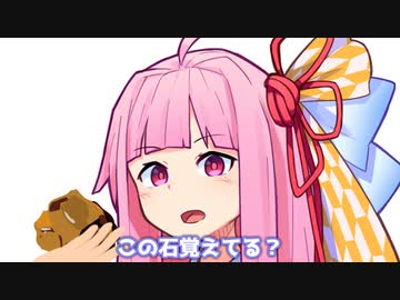 この石覚えてる？