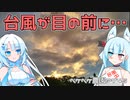 2023年9月7日　農作業日誌P745　午前中は連れまわされて農作業ができずで、午後にちょっとだけ芝刈りをした