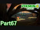 最後の捜索地点 追憶の原生林 【PIKMIN4実況part67】