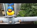 【全長1200キロ】にちなんban太郎　福岡→東京徒歩の旅！【22日目】広島県・福山市〜（2023年09月06日）