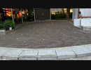 京橋　猫　ぬこ　ねこ
