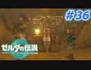 【実況】果てなき冒険は、大空へ広がる【ゼルダの伝説 ティアーズオブザキングダム】＃36