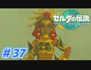 【実況】果てなき冒険は、大空へ広がる【ゼルダの伝説 ティアーズオブザキングダム】＃37