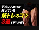 【初心者必見】筋トレする時に最初に身につけたい身体の使い方 3選「下半身編」【ビーレジェンド プロテイン】