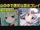 【千恋＊万花(エロゲ)】#53　ナルガクルガと一緒に巫女服を一刀両断してしまった【セックスへの道】