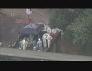 豚熱感染　約１万頭の殺処分が完了　ワクチン接種は９月中に始める方針　佐賀